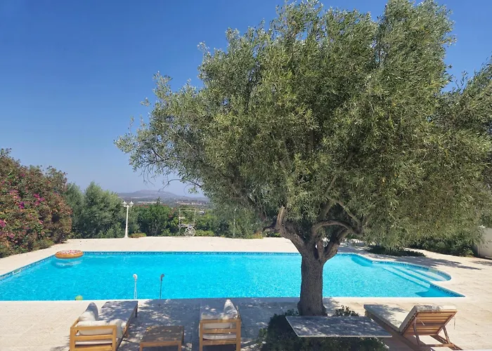 Tophill Gardens House - Shared Pool - Jacuzzi - 24Hrs Check In - 10M From Airport