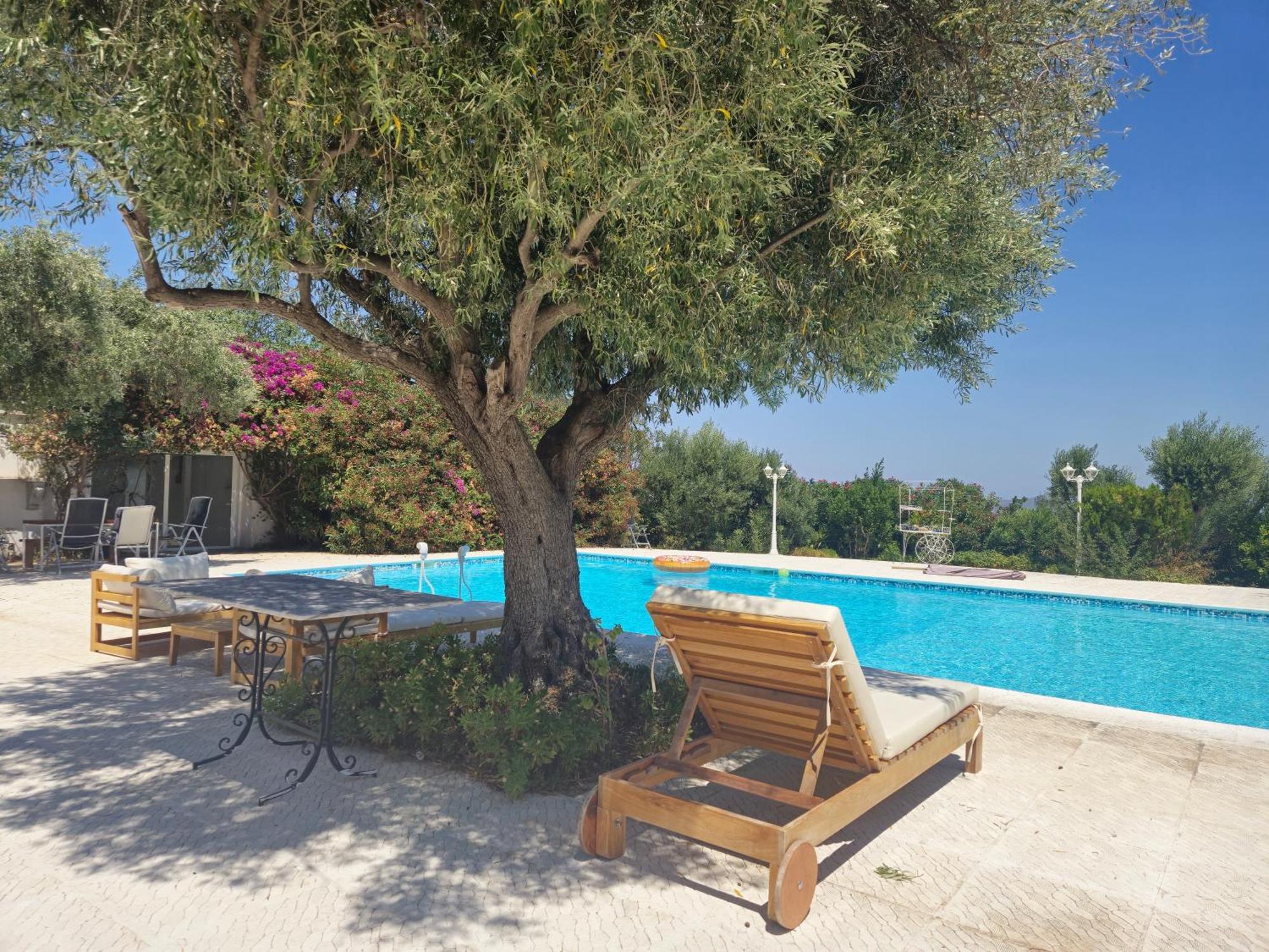 Tophill Gardens House - Shared Pool - Jacuzzi - 24hrs Check In - 10m From Airport *